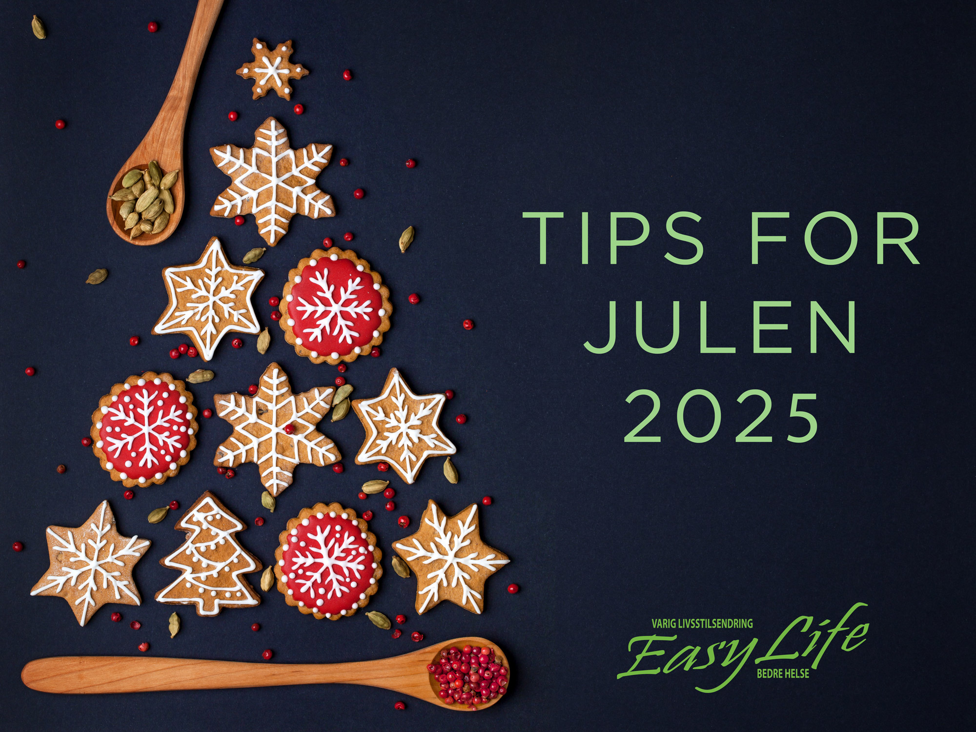 Full fart mot jul